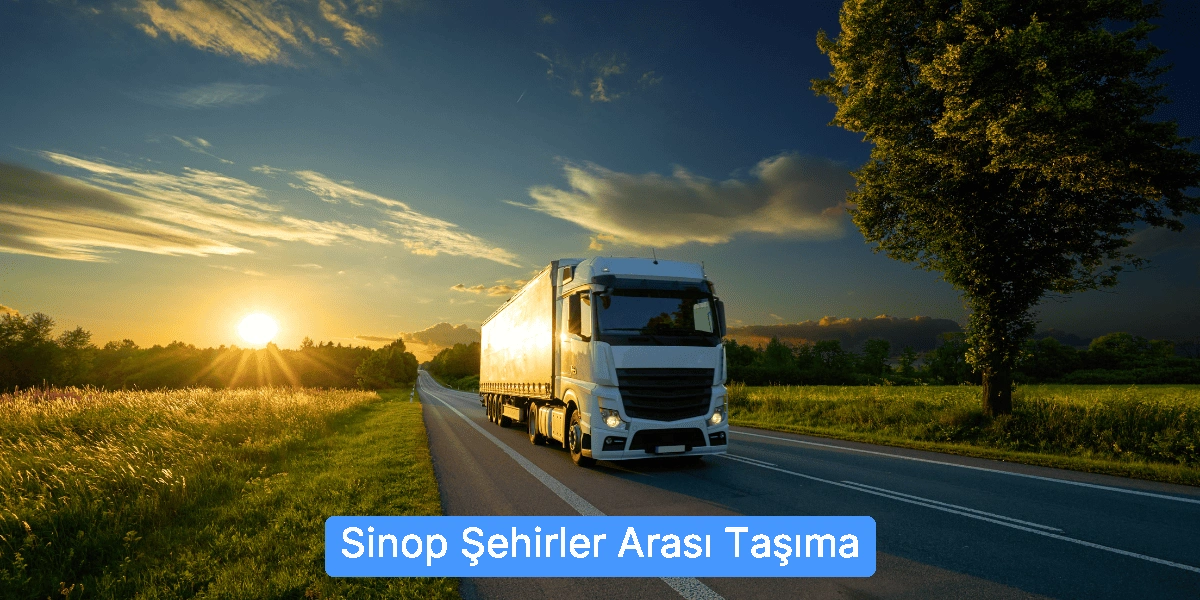Şehirler Arası Taşıma