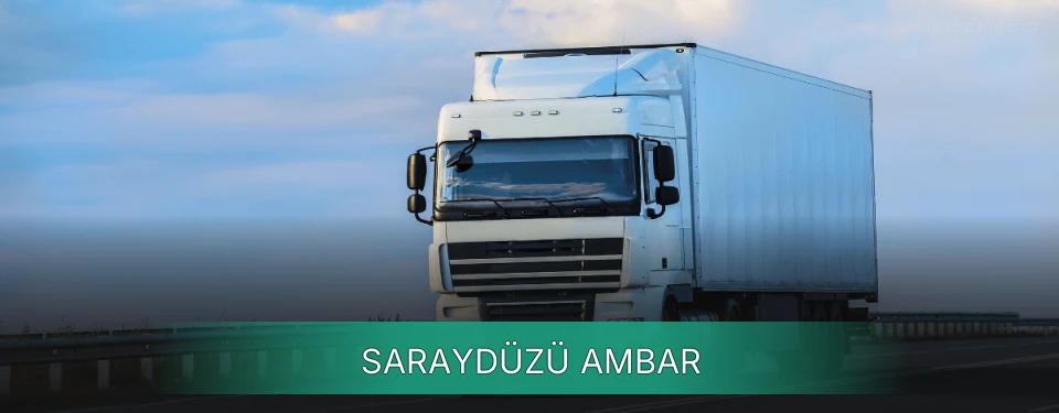 Saraydüzü Ambar